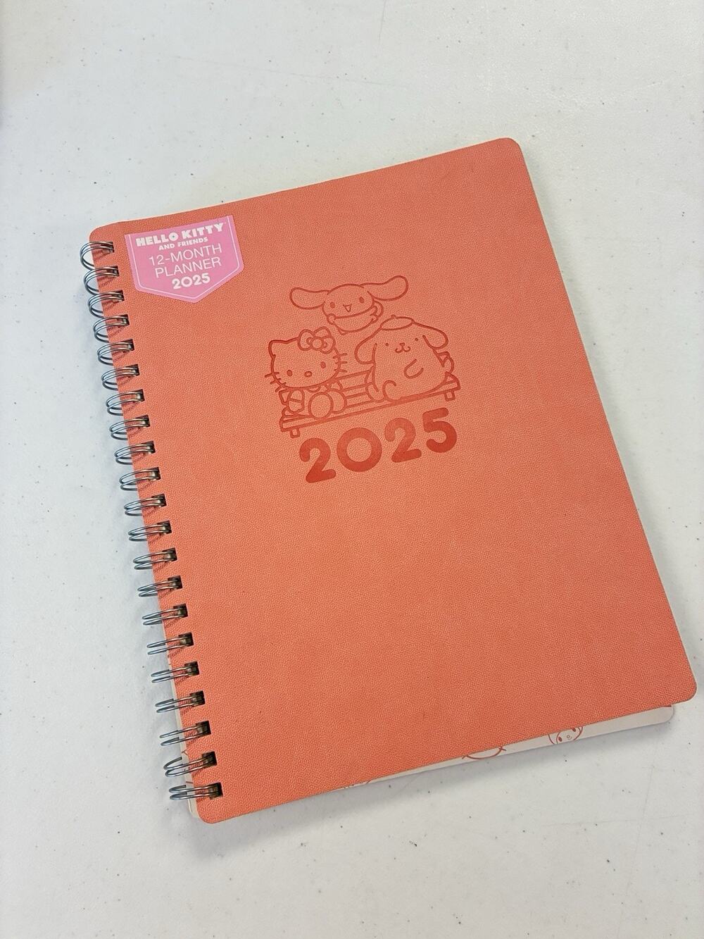 Hello Kitty 2025 Planner Monthly Weekly Layouts Notes Pages 8.5x11 Spiral Pink
